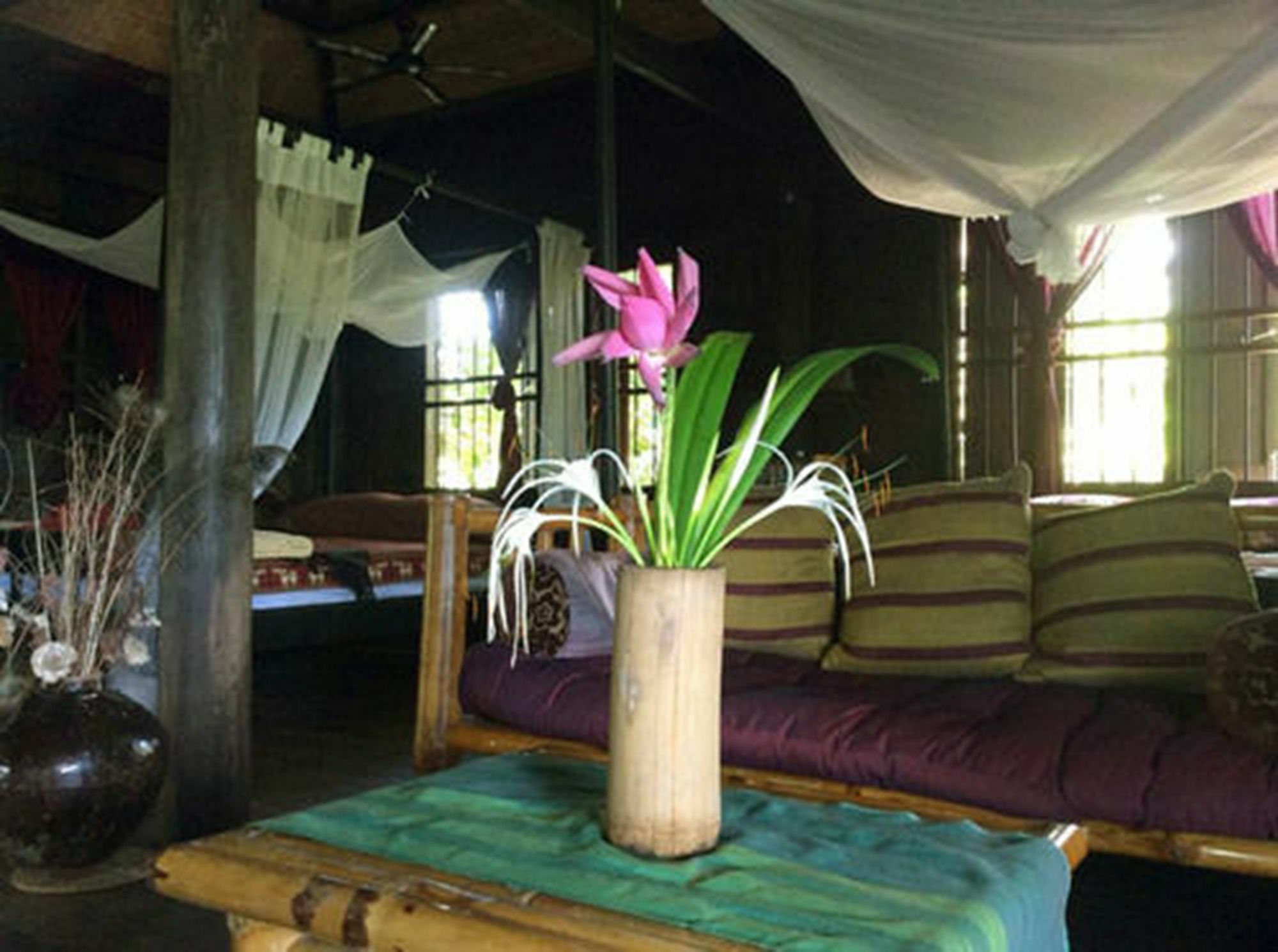 The Bong Thom Homestay Siem Reap Buitenkant foto