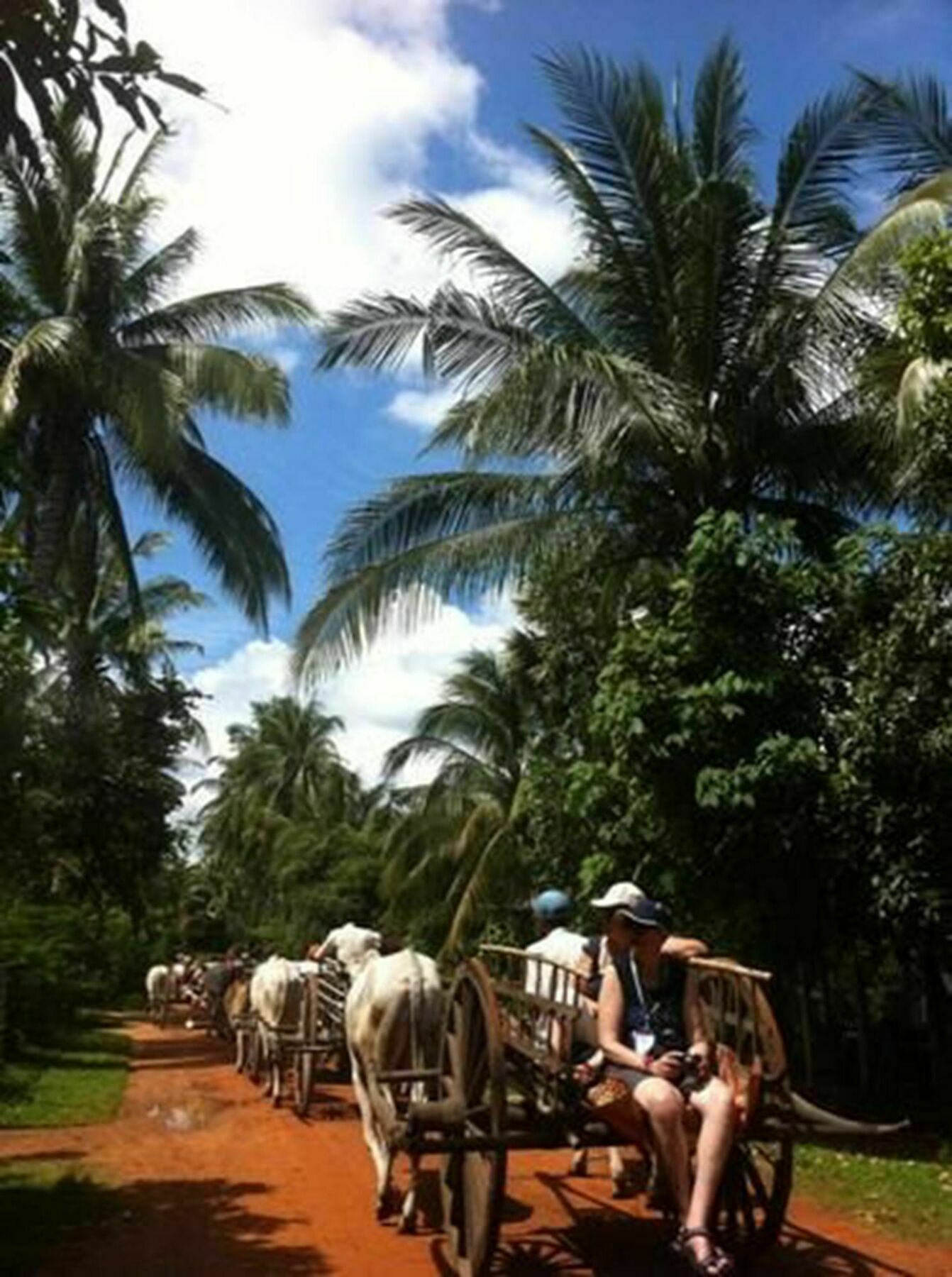 The Bong Thom Homestay Siem Reap Buitenkant foto